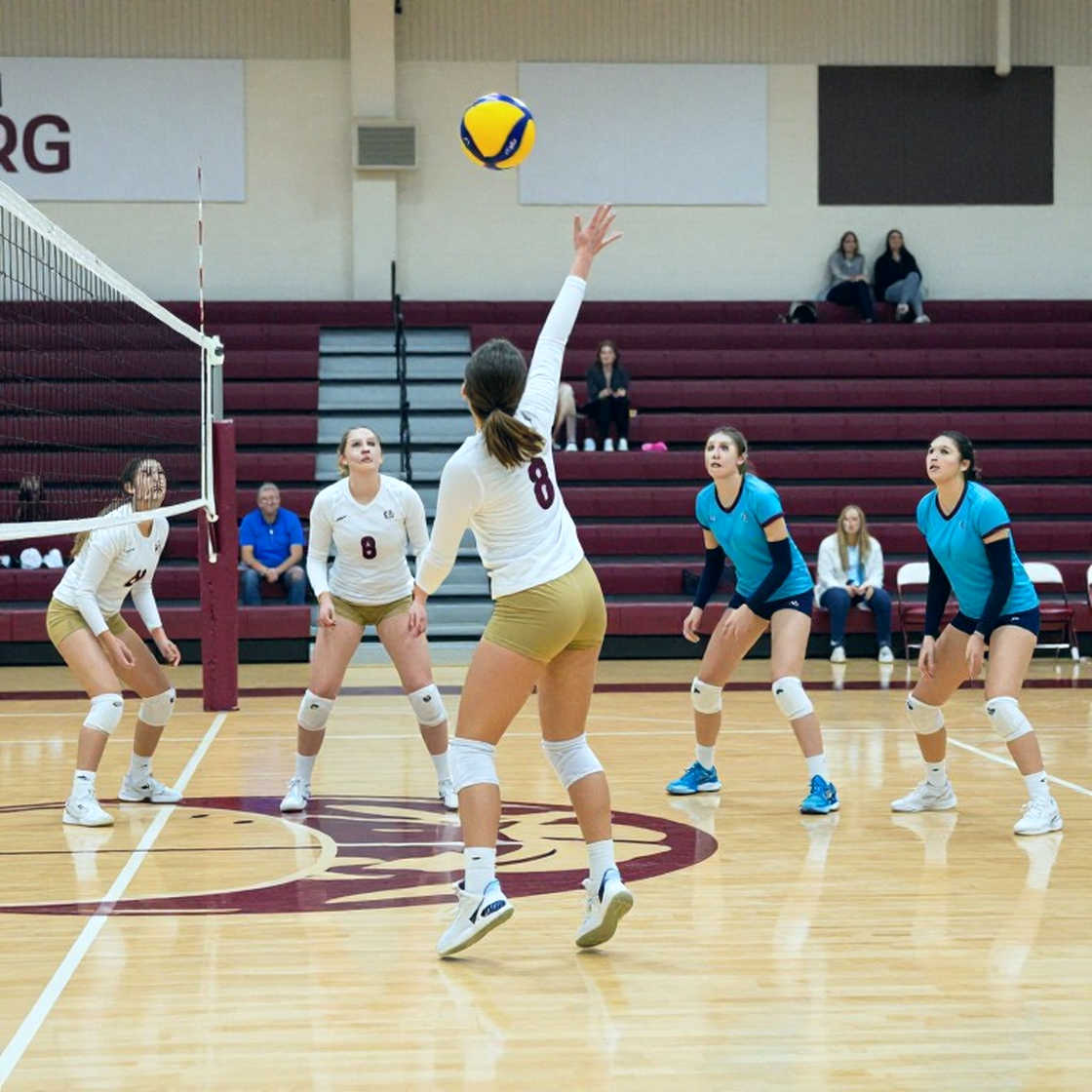 30 Years of NCAA Women's Volleyball MOP: A Positional Map, the Repeat Names, and the Beach Pipeline Nobody Mentions 30 Years of NCAA Women's Volleyball MOP: A Positional Map, the Repeat Names, and the Beach Pipeline Nobody Mentions