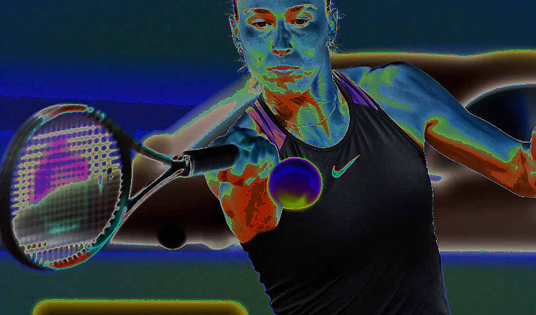 Silence Is Not Innocence: Vietnamese Tennis and the Lesson of the Blank Data Cell Silence Is Not Innocence: Vietnamese Tennis and the Lesson of the Blank Data Cell