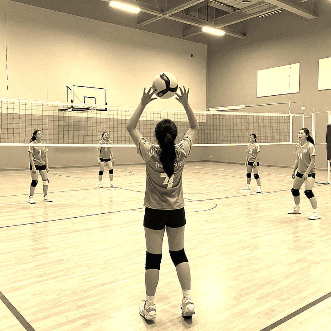 The Empty Column: Where Vietnam's Women's Volleyball Data Goes Missing The Empty Column: Where Vietnam's Women's Volleyball Data Goes Missing